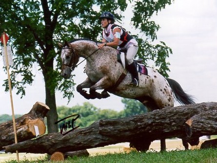 idcta @ indian hills horse trials - july 1999