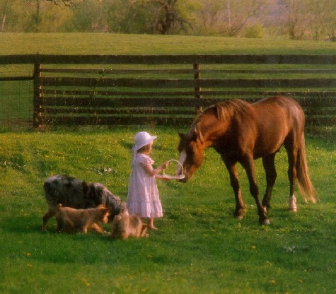 elaine & noble june 1997